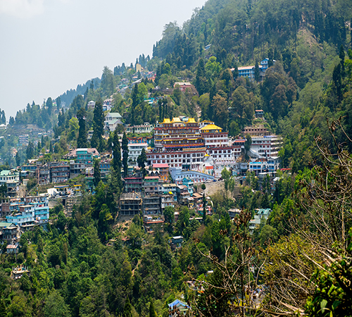 Beautiful Darjeeling Tour